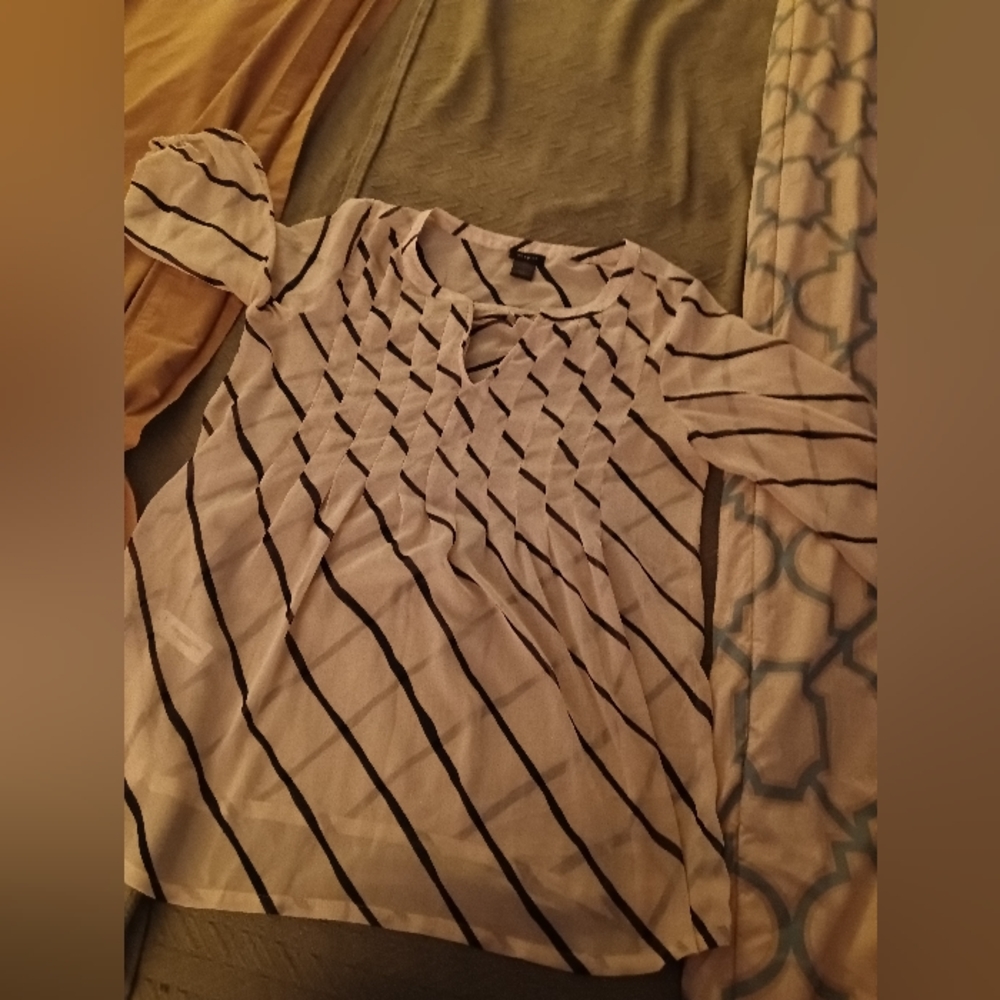 Ann Taylor Blouse